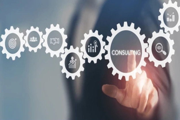 Consulting Services